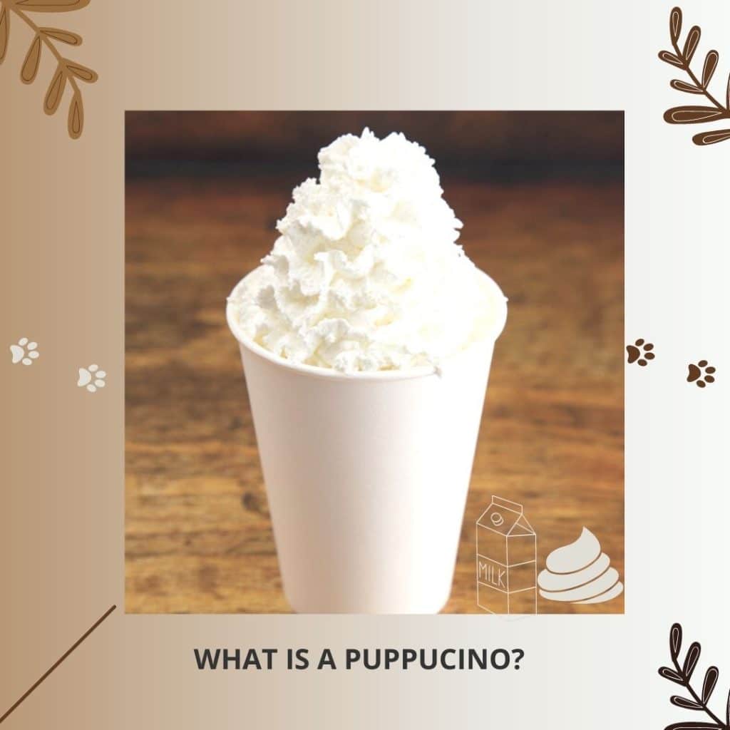 What Is A Puppuccino?