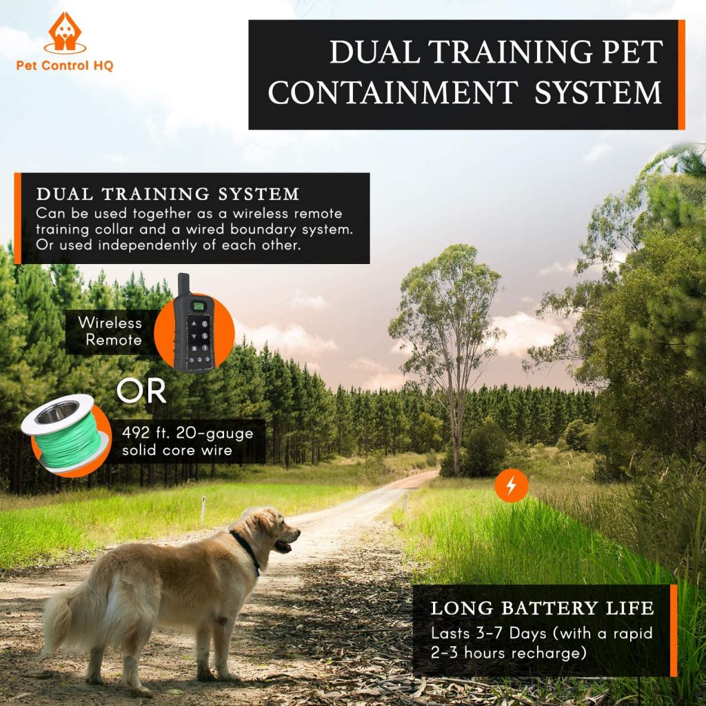 Pet Control HQ Dog Wireless Pet Containment System | All You Need to Know