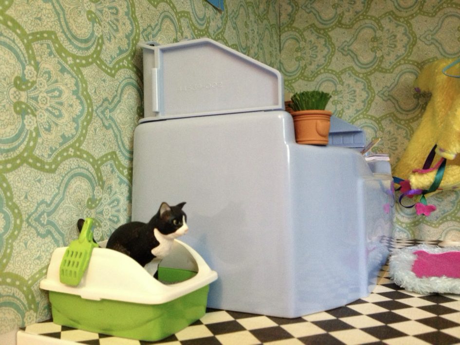How Do Cats Know To Use A Litter Box?
