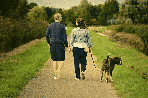 4 Health Benefits of Dog Walking – Go the Extra Mile
