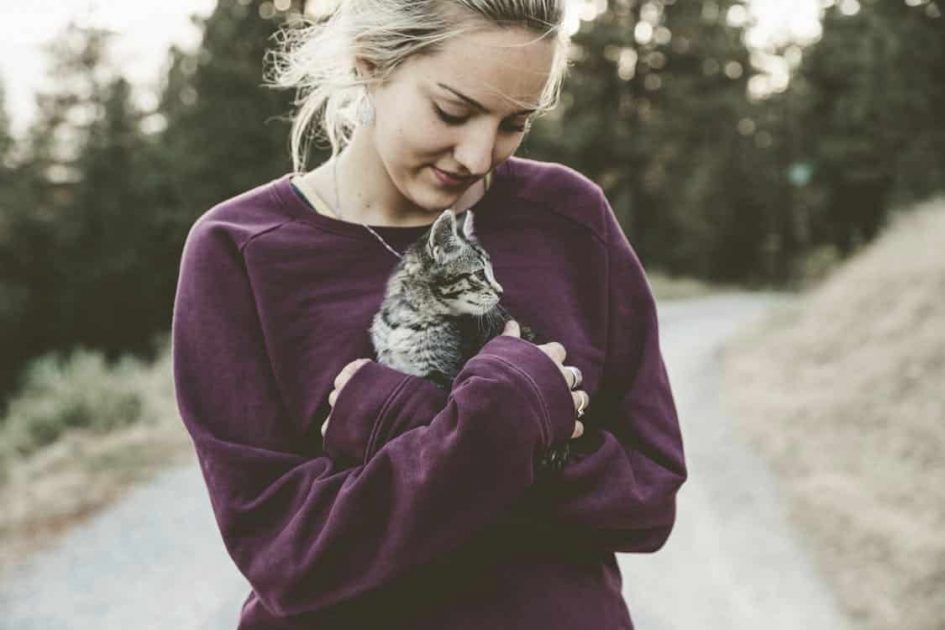 23 Tips for New Cat Owners
