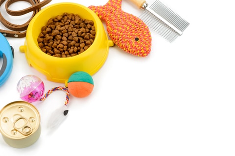 Cat supplies toys and food