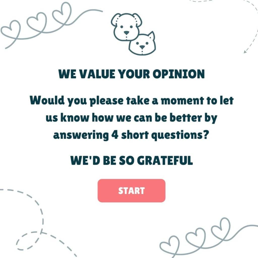 Customer Survey for Cats and Dogs Content Improvement