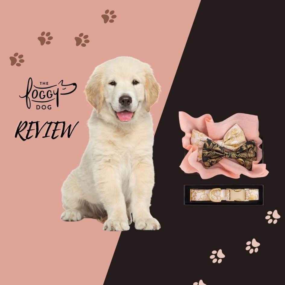 Review of The Foggy Dog – Pet Accessories Brand Specializing in Dog Beds and Apparel