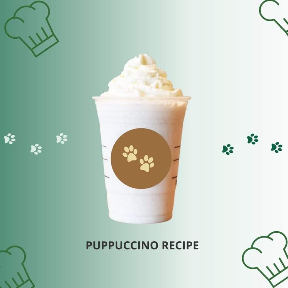 Puppuccino Recipe